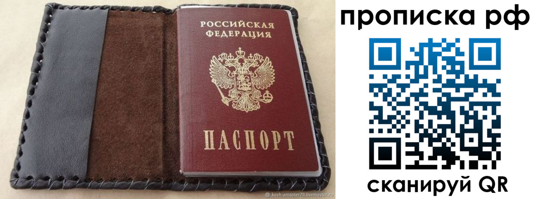 прописка ребенка в Кудрово